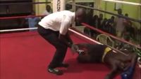 File:Emmanuel Mensah vs. Rashid Musu 029.jpg