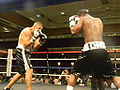 Thumbnail for version as of 22:50, 29 August 2010