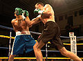 Thumbnail for version as of 09:16, 20 November 2011