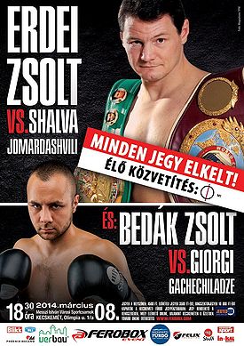 ErdeiZsolt380x537.jpg