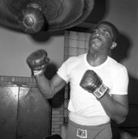 File:Ernie Terrell.JPG