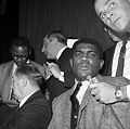 Ernie Terrell2.JPG