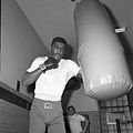 Ernie Terrell3.JPG