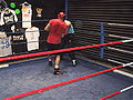 Thumbnail for version as of 14:04, 11 March 2010