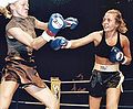 Thumbnail for version as of 19:52, 26 January 2012
