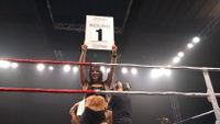 File:Etoundi Michel William vs. Ademir de Jesus Machado (05).jpg