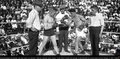 Ever hammer Johnny Dundee.jpg