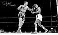 Ezzard-Rocky3.JPG