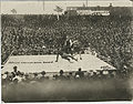 F19145a.JPG