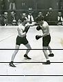 F19552.JPG