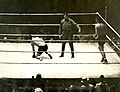 Thumbnail for version as of 20:10, 13 February 2011