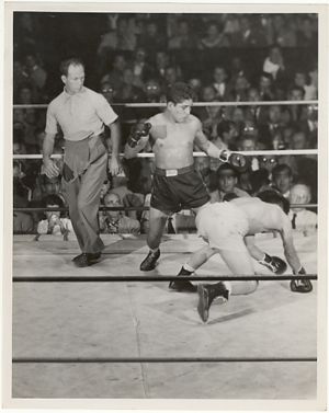 fight photo
