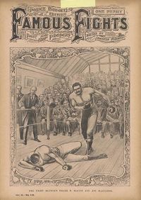 File:FFightsXI135.JPG