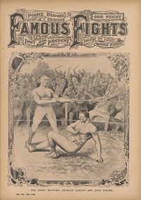File:FFightsXI136.JPG