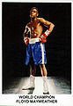 FMayweatherJr.jpeg