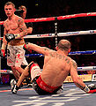 Thumbnail for version as of 13:48, 11 February 2013