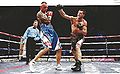 FROCH-KESSLER II-photo 2013.jpg
