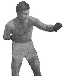 FStefanelli.jpg