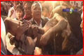 Thumbnail for version as of 07:43, 12 July 2006