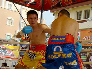 Fahsai Sakkreerin vs. Yersin Jailauov.jpg