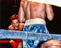 FeMickey Rourke boxer.png