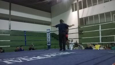 Felipe Santos Pedroso vs. Luiz Carlos de Almeida Castro (08).jpg