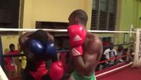 File:Felix Williams vs. David Kotey 013.jpg