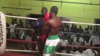 File:Felix Williams vs. David Kotey 016.jpg