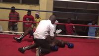 File:Felix Williams vs. David Kotey 032.jpg