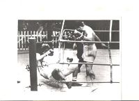 File:Fernando Barreto 1966. jpg.jpg