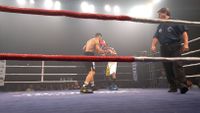 File:Fernando Henrique Messias Machado vs. Francisco Neves Valentim (17).jpg