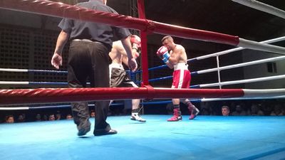Fernando Luis Pinto vs. Andre Luiz Suares (07).jpg