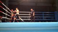 File:Fernando Luis Pinto vs. Andre Luiz Suares (11).jpg