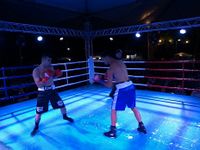 File:Fernando Luis Pinto vs. Bruno Marques (18).jpg