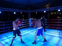 File:Fernando Luis Pinto vs. Bruno Marques (19).jpg