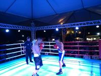 File:Fernando Luis Pinto vs. Bruno Marques (36).jpg