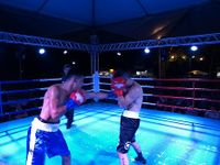 File:Fernando Luis Pinto vs. Bruno Marques (42).jpg