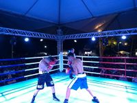 File:Fernando Luis Pinto vs. Bruno Marques (52).jpg