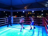 File:Fernando Luis Pinto vs. Bruno Marques (78).jpg