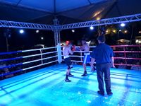 File:Fernando Luis Pinto vs. Bruno Marques (82).jpg