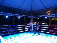 File:Fernando Luis Pinto vs. Bruno Marques (83).jpg