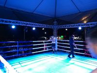 File:Fernando Luis Pinto vs. Bruno Marques (84).jpg