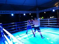 File:Fernando Luis Pinto vs. Bruno Marques (94).jpg