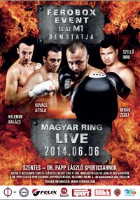 File:Ferobox poster 2014-06-06.jpg