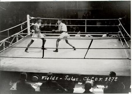 Fields-Salas.jpg