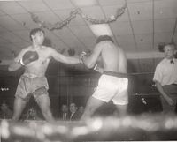 File:Fight-1267237.jpg