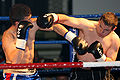 Thumbnail for version as of 09:30, 12 June 2012