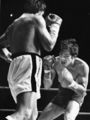 Fight1015.jpg