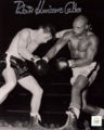 Fight109457.jpg