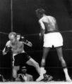 Fight18316.Photo.jpg